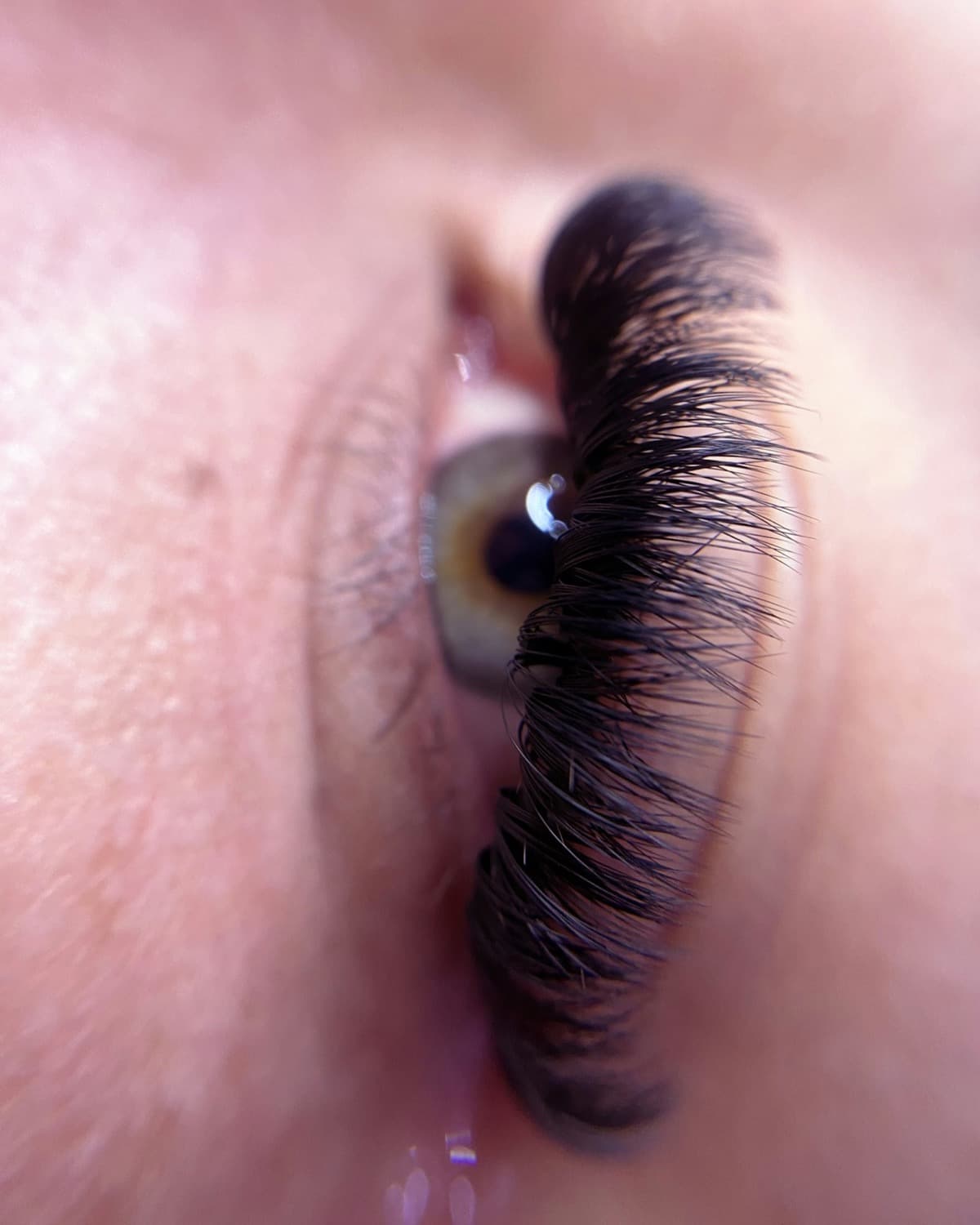 Macro photograph of curled dark eyelashes